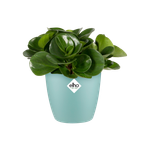 brussels rond mini 12,5cm menthe